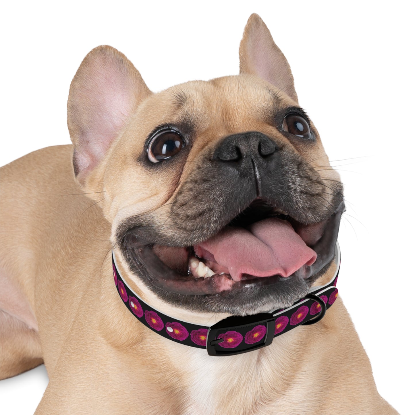 No Plain Collars for Posh Puppy! Trendy Magenta Rose Shows off Your Fashionably Chic Pup