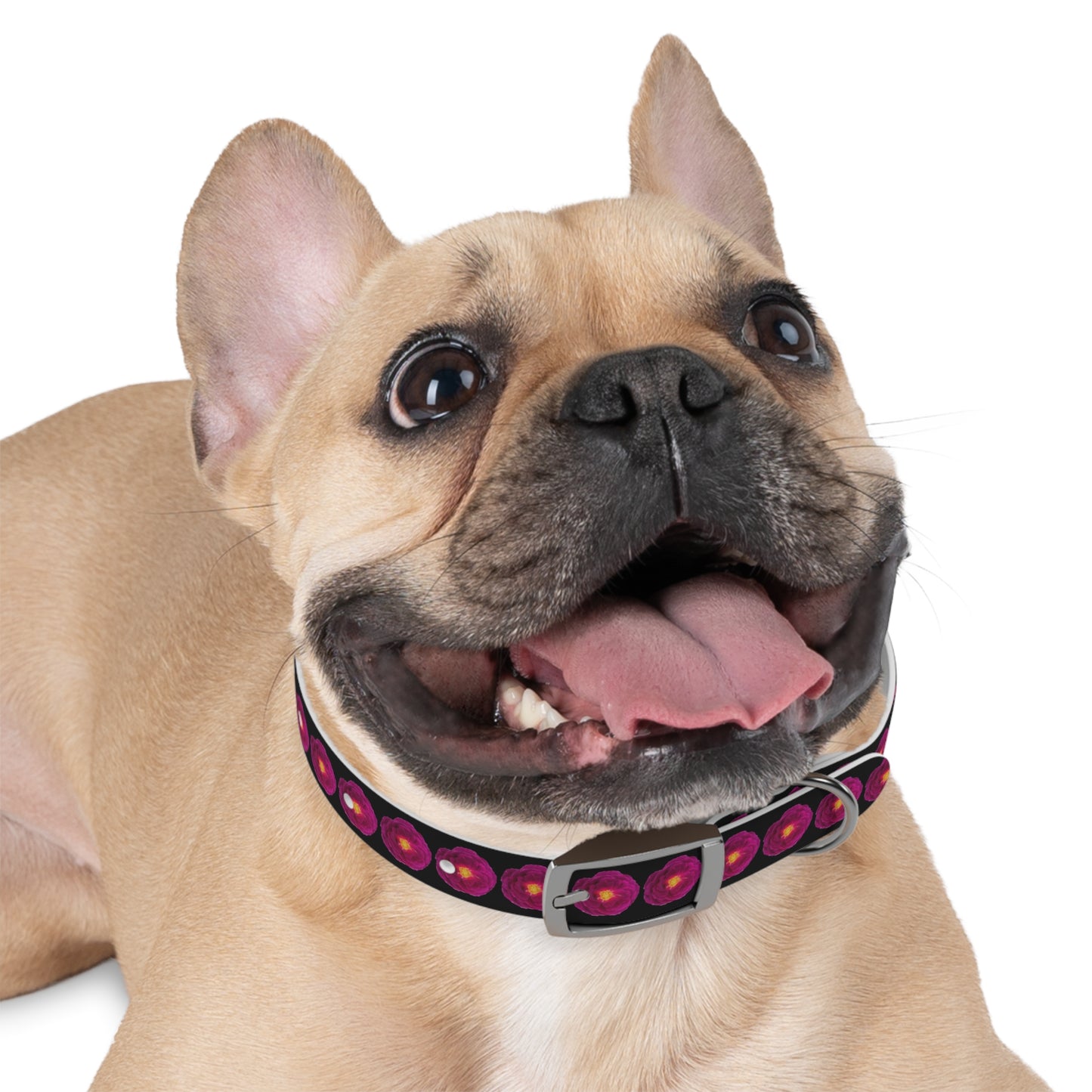 No Plain Collars for Posh Puppy! Trendy Magenta Rose Shows off Your Fashionably Chic Pup