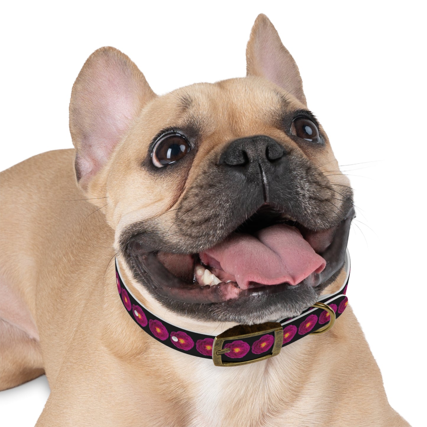 No Plain Collars for Posh Puppy! Trendy Magenta Rose Shows off Your Fashionably Chic Pup