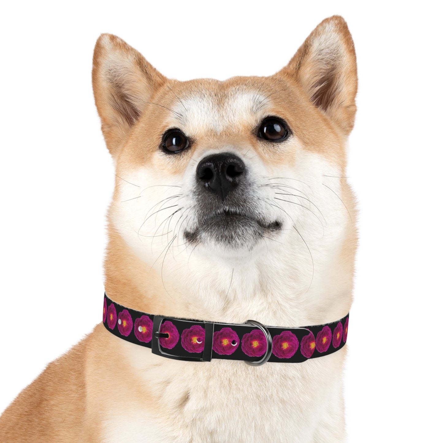 No Plain Collars for Posh Puppy! Trendy Magenta Rose Shows off Your Fashionably Chic Pup