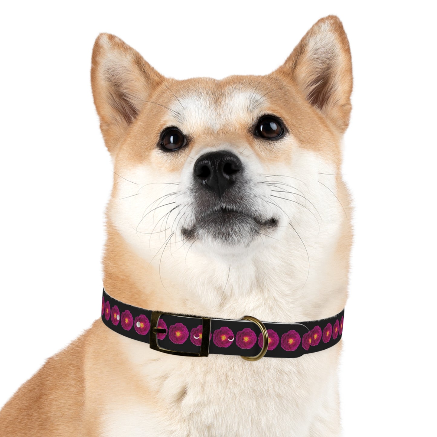 No Plain Collars for Posh Puppy! Trendy Magenta Rose Shows off Your Fashionably Chic Pup