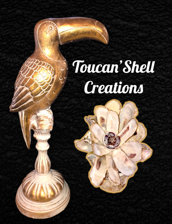 Toucan Shell Creations